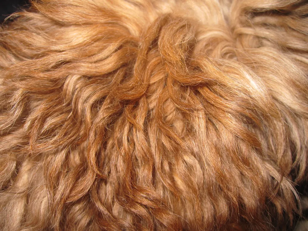 Detalle de un cabello rizado cobrizo muy de cerca